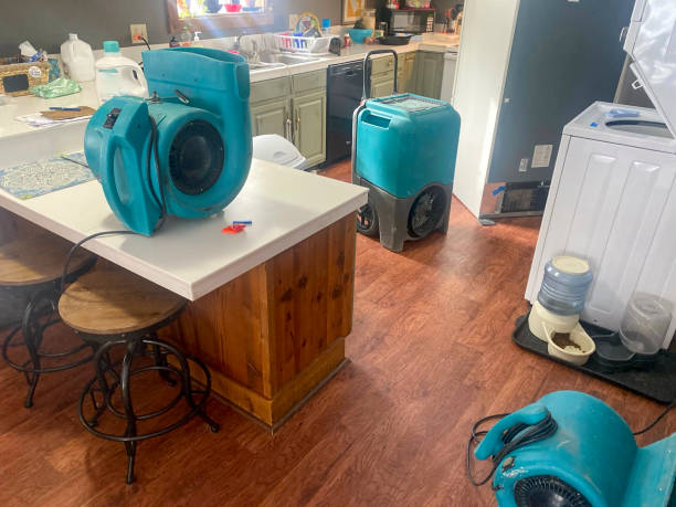 Best Local water damage restoration  in Grandview, TX