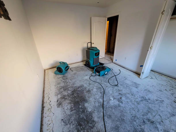 Grandview, TX Water damage restoration Company