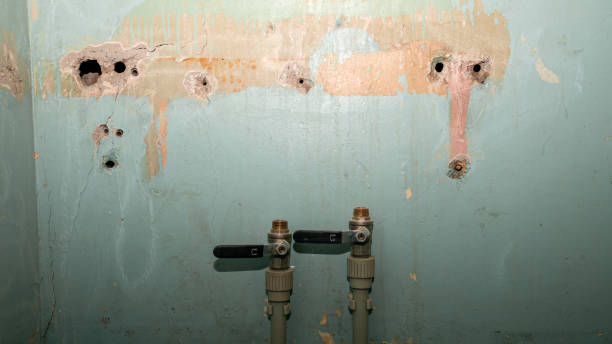 Best Flood damage cleanup  in Grandview, TX