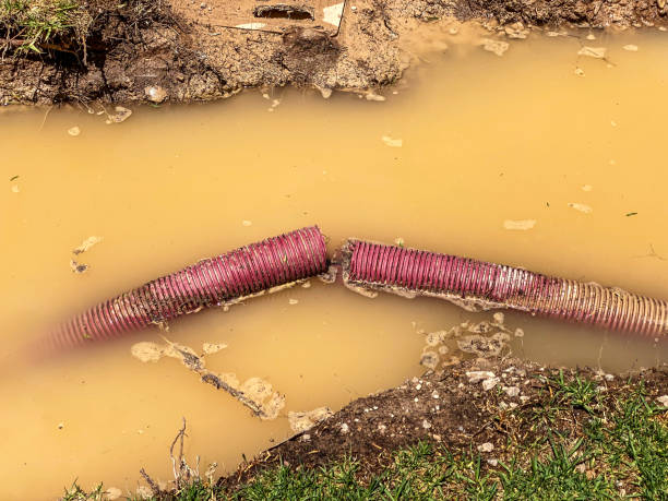 Best 24-hour water damage restoration  in Grandview, TX