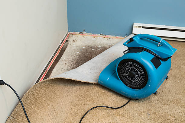 Best Professional water damage repair  in Grandview, TX